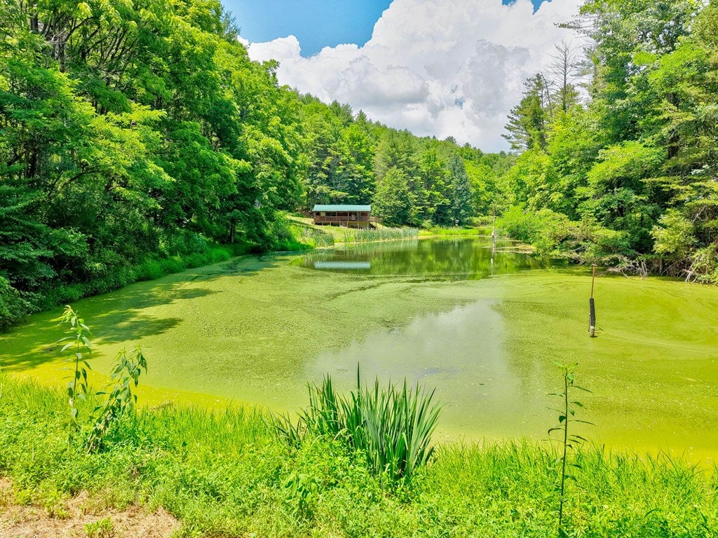 4436 Cedar Springs Road Rural Retreat, VA 24368 - Photo 11 of 78 Gallery Image 11