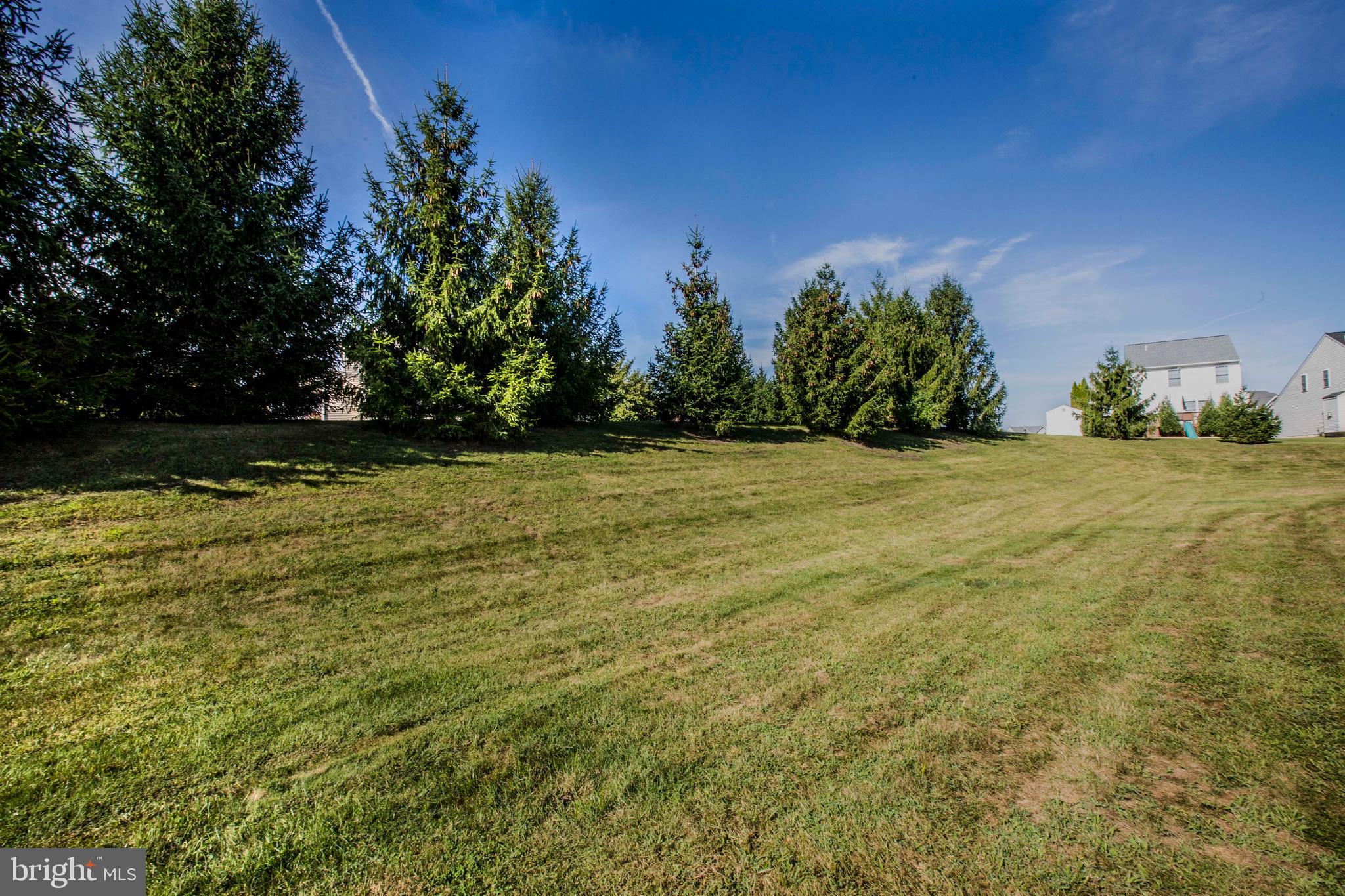 20 White Pine Gulch Reading, PA 19607 - Photo 25 of 28 View from back deck