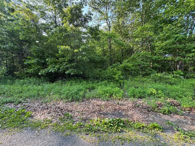 a view of a yard with plants and a tree