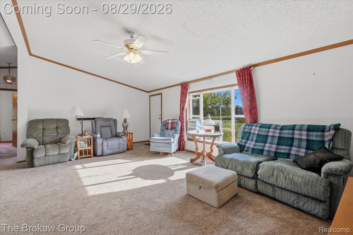 5189 North Webster Road Flushing, MI 48433 - Photo 13 of 46 White walls with brown trim detailing