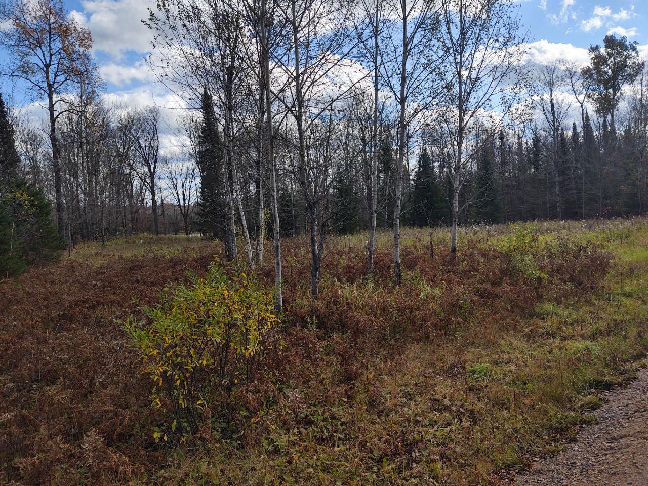 Lot 4 North River Road Park Falls, WI 54552 - Photo 23 of 37 Gallery Image 23