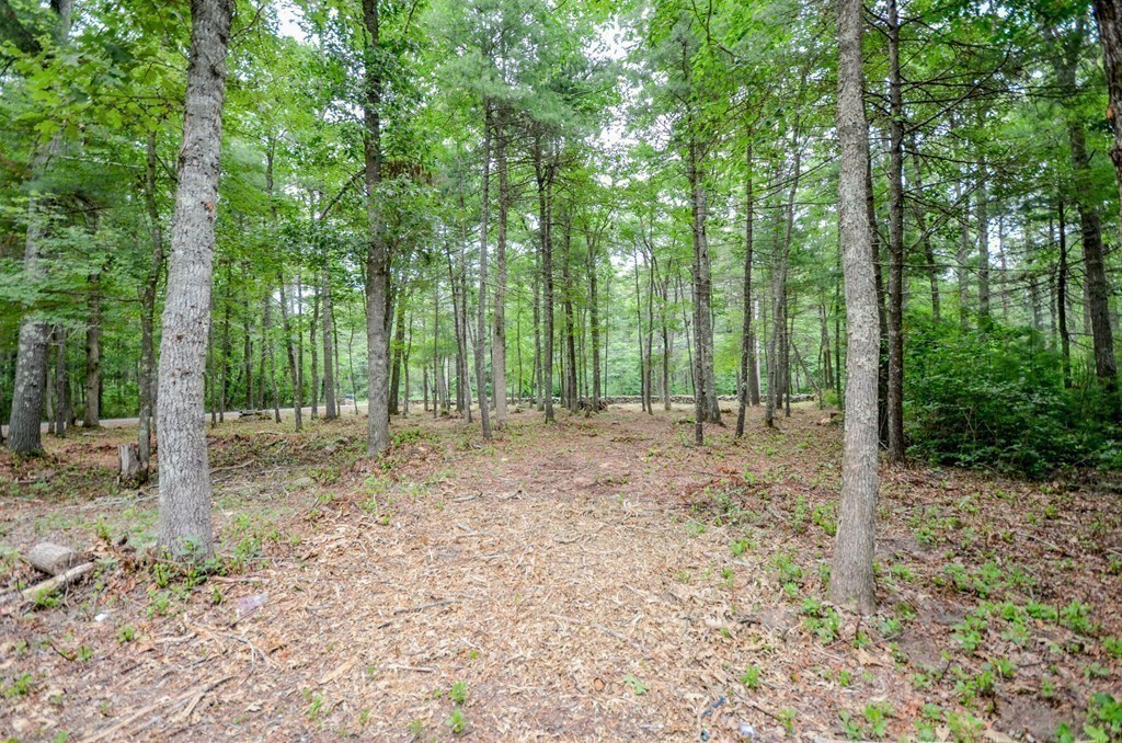 544 Point Road Marion, MA 02738 - Photo 23 of 25 a view of outdoor space and trees