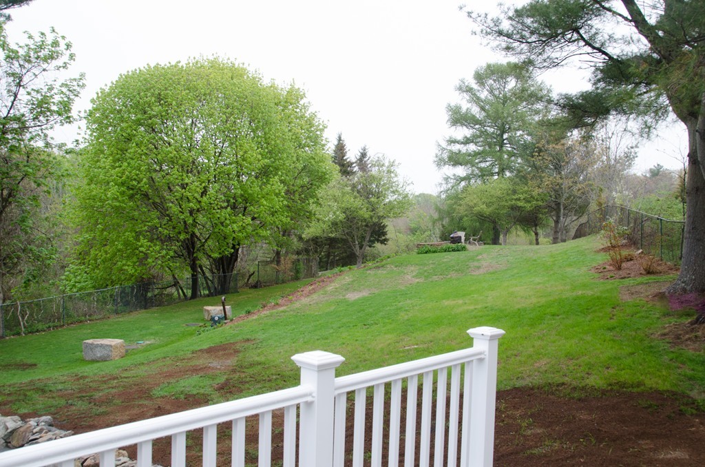 22 Marble Road Gloucester, MA 01930 - Photo 24 of 25 a view of a green field with a tree