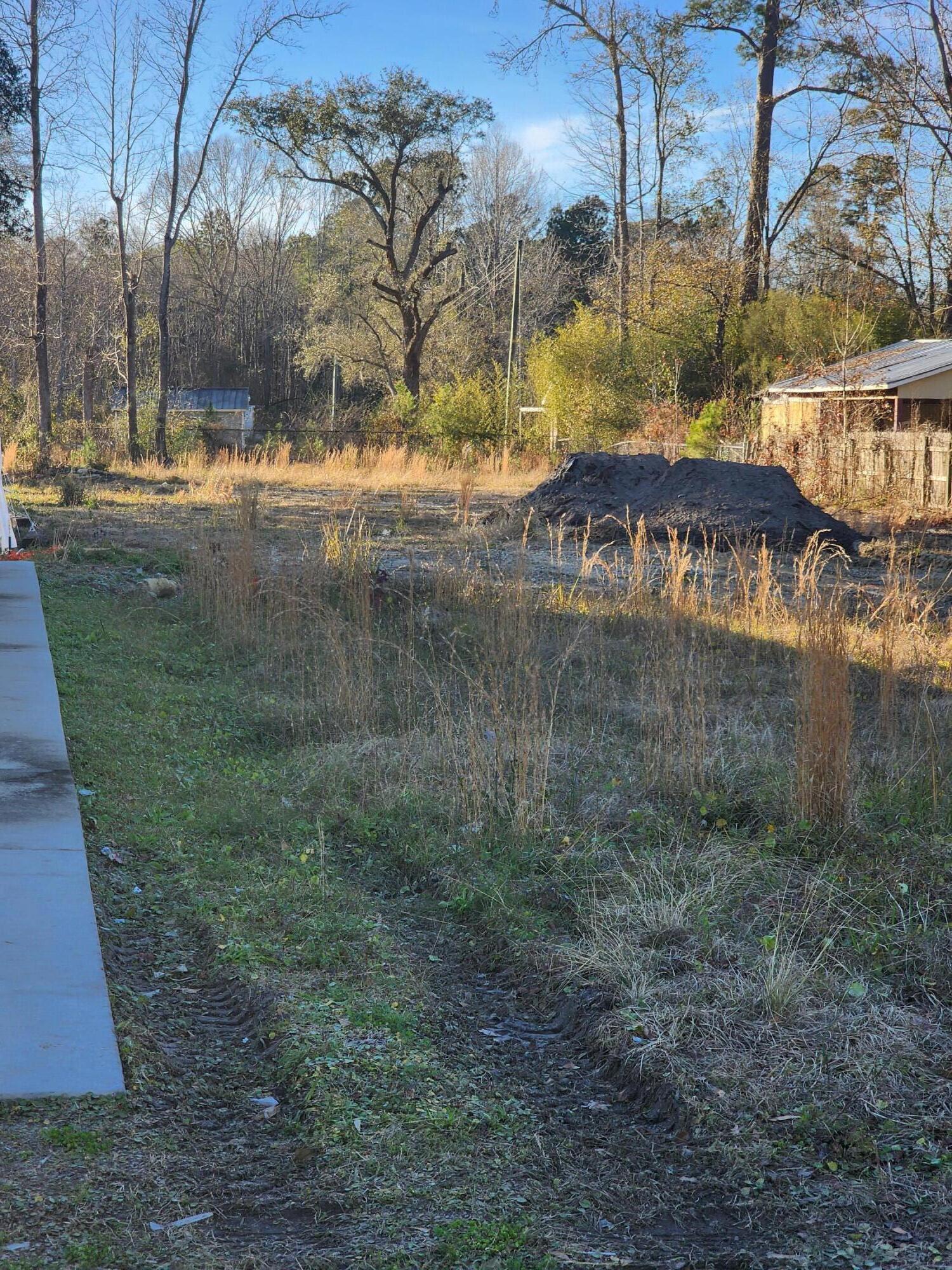 0 Brownswood Road Johns Island, SC 29455 - Photo 3 of 4 20240117_160701 (1)