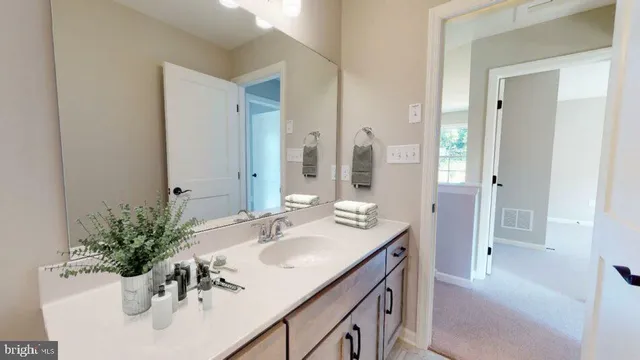 a bathroom with a shower and a sink