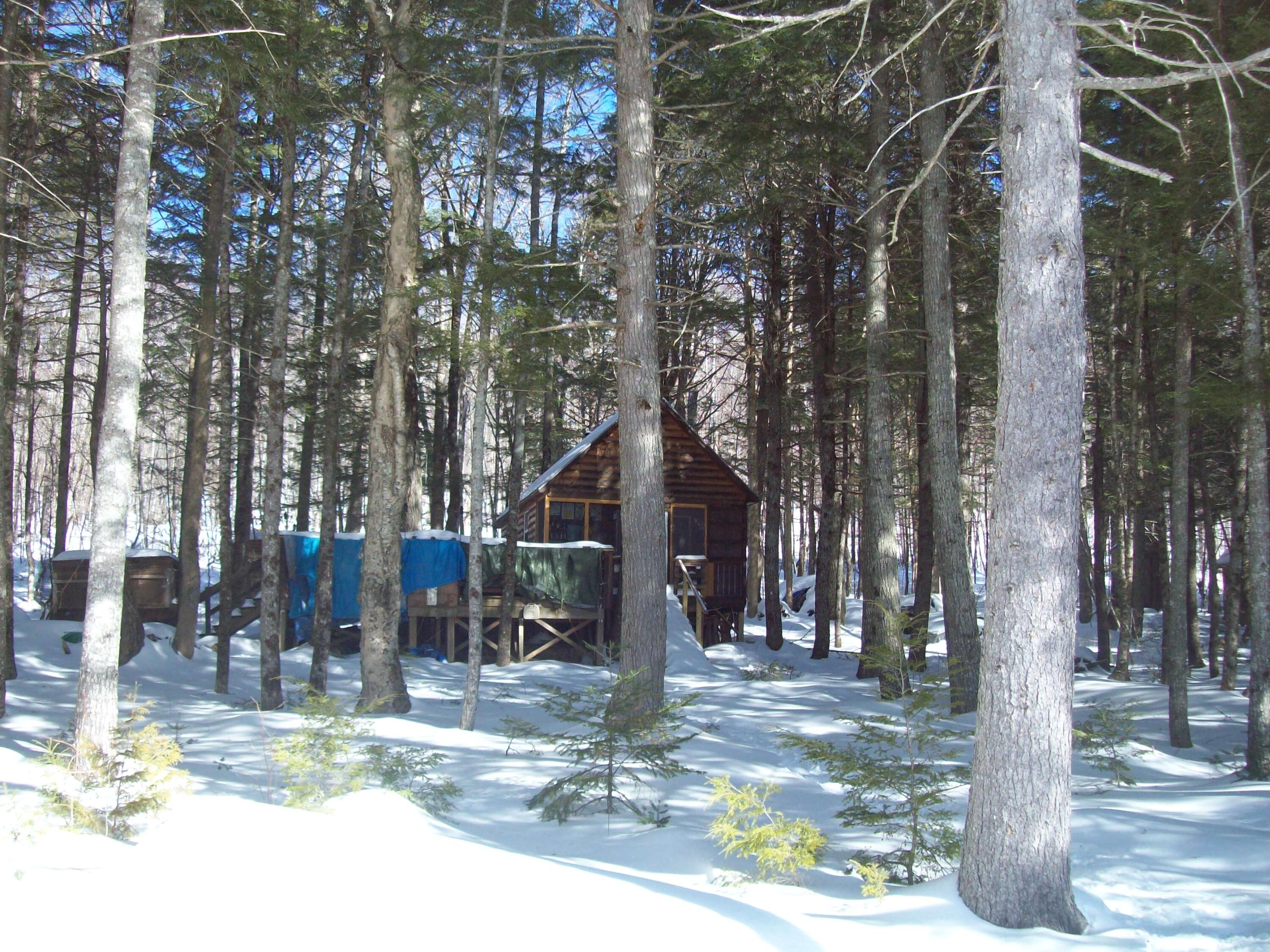 221 Upper Pug Road Lakeville, ME 04487 - Photo 2 of 13 100_1635