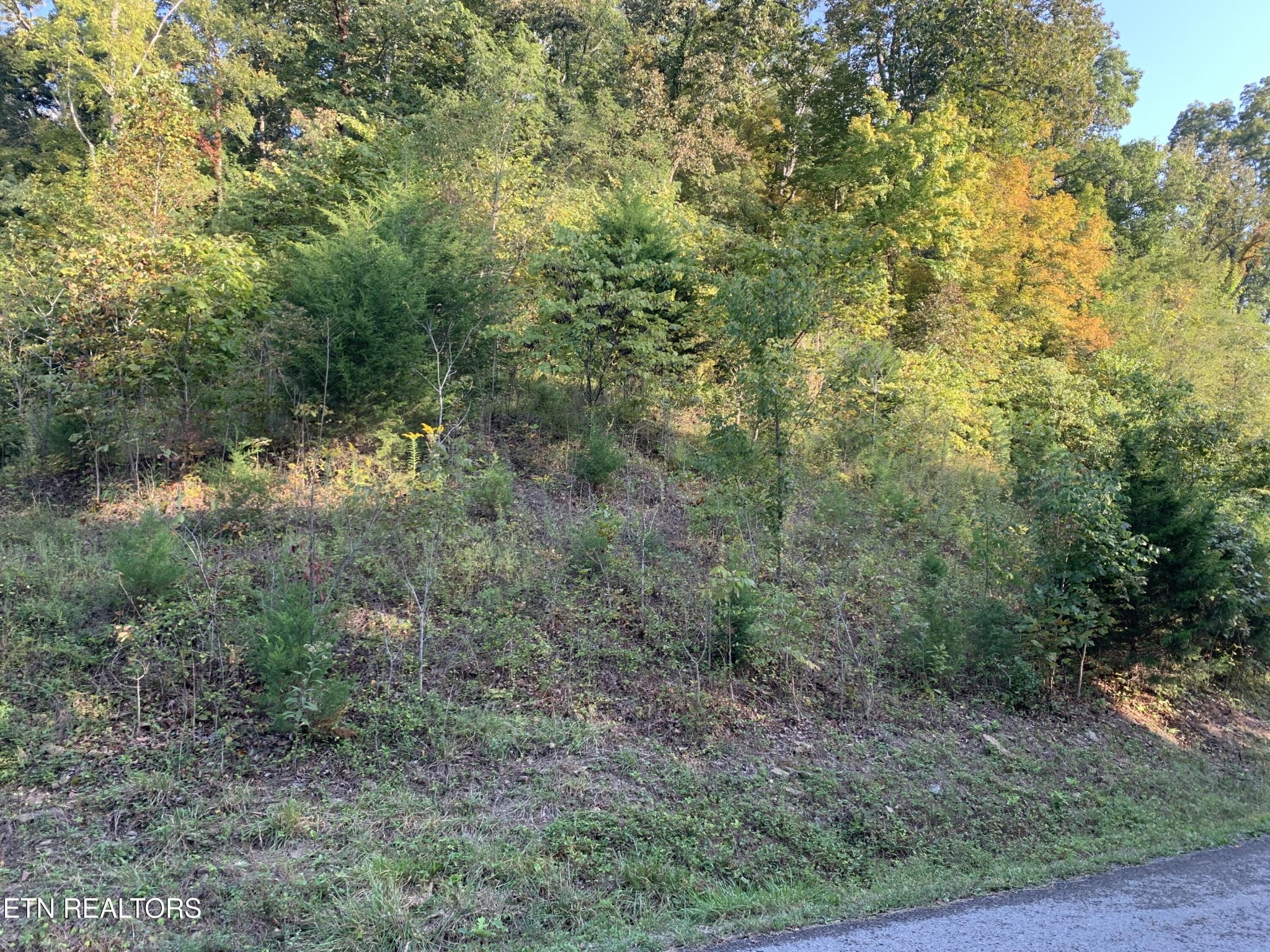 0 Russell Brothers Road Sharps Chapel, TN 37866 - Photo 2 of 7 Gallery Image 2