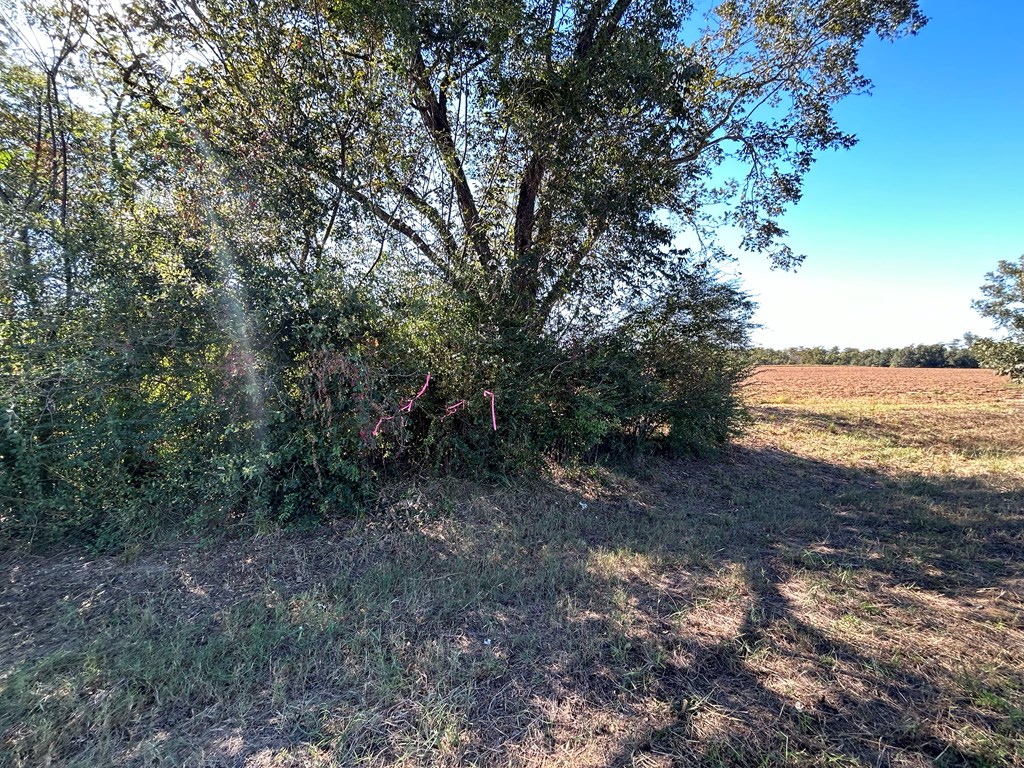 9.481-ac 9.481-ac Road Cottonwood, AL 36320 - Photo 15 of 19
