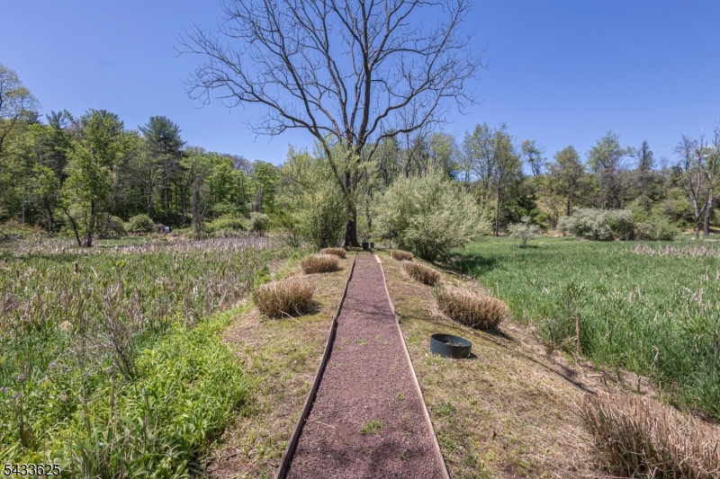449 Stamets Road Milford, NJ 08848 - Photo 6 of 44 a view of a pathway with a yard