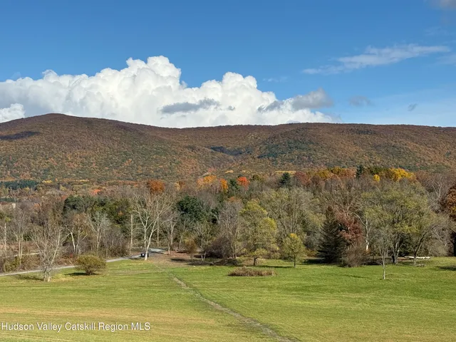 a view of a field with an ocean