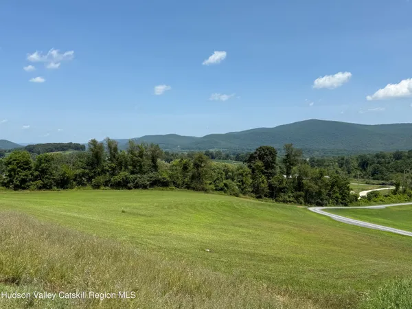 a view of a grassy field with mountains in the background