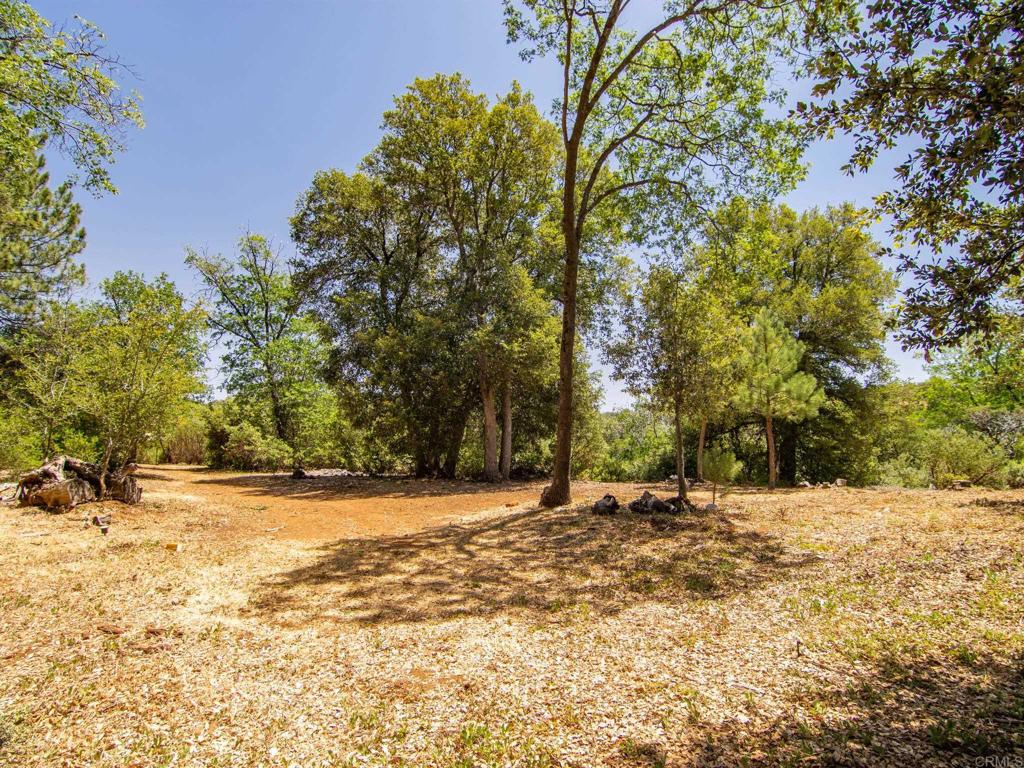 7 West Incense Cedar Road Julian, CA 92036 - Photo 1 of 24 a view of a yard with a tree