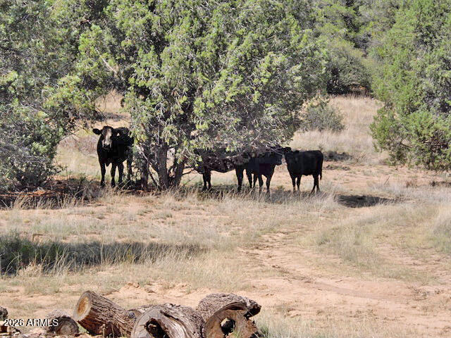 0 West Slate Road, Unit 98 Prescott, AZ 86305 - Photo 3 of 9 a view of a yard and patio
