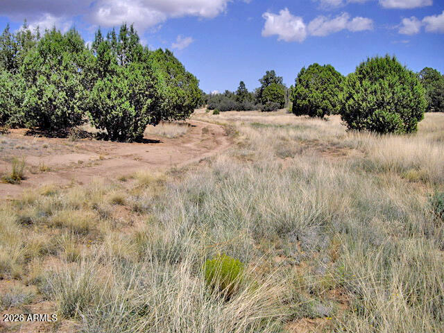 0 West Slate Road, Unit 98 Prescott, AZ 86305 - Photo 4 of 9 a view of a yard with a house