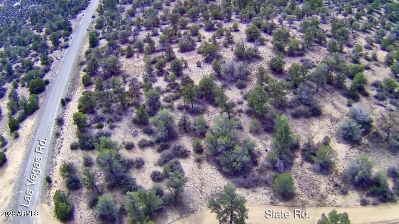 0 West Slate Road, Unit 98 Prescott, AZ 86305 - Photo 6 of 9 a view of a forest