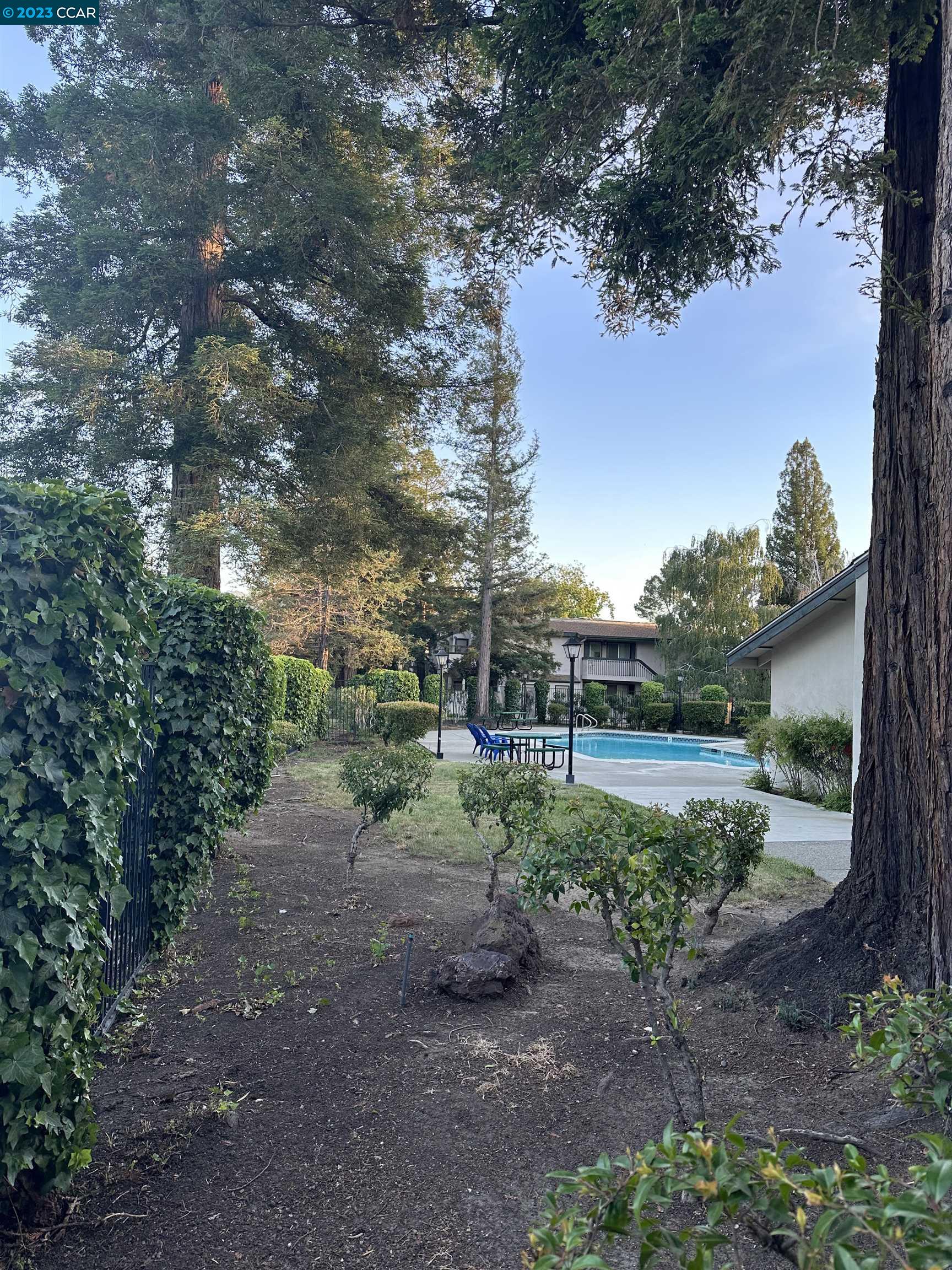 5460 Concord Boulevard Concord, CA 94521 - Photo 20 of 35 a view of a yard with tiny trees