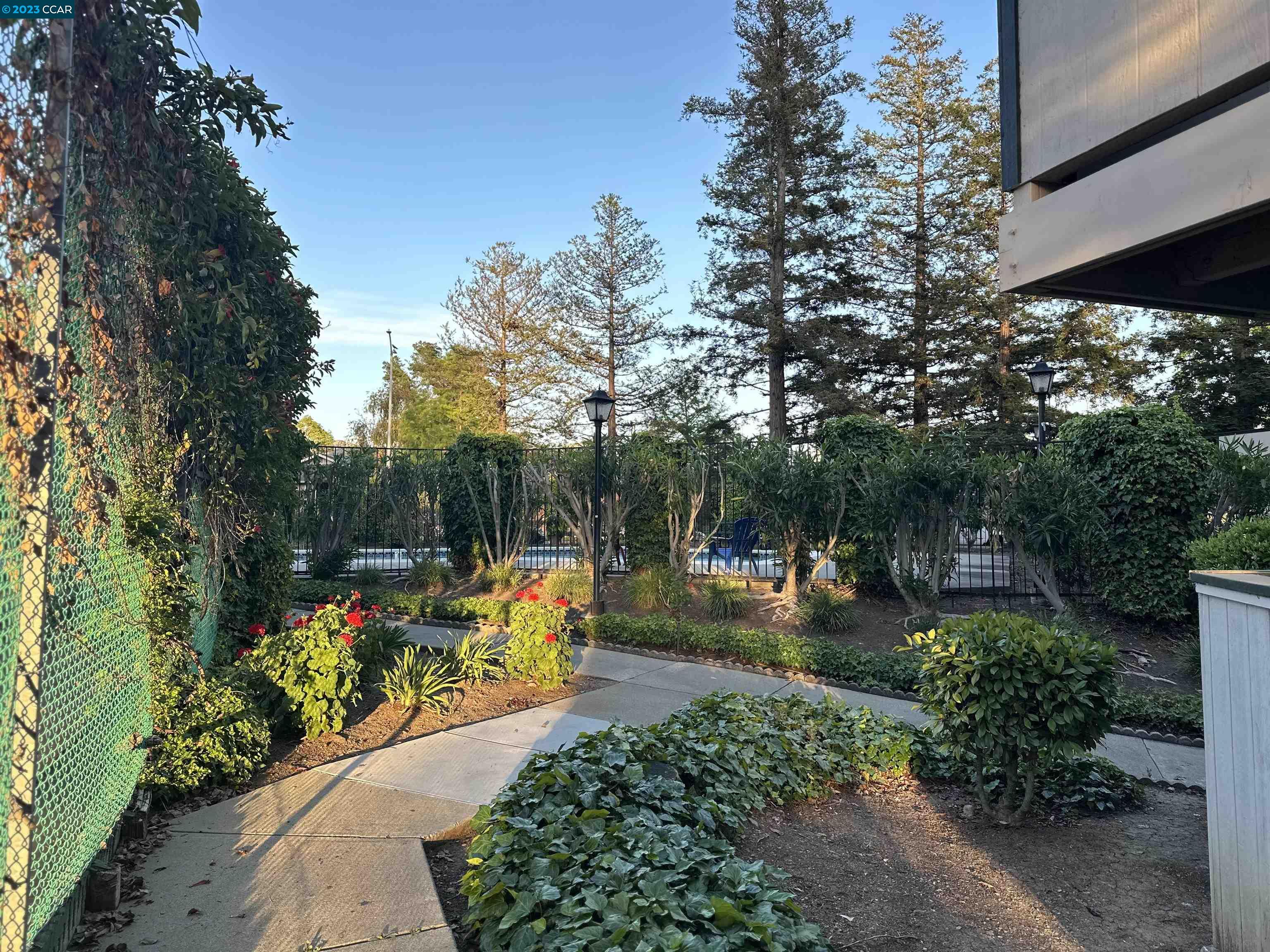 5460 Concord Boulevard Concord, CA 94521 - Photo 25 of 35 a view of a park with large trees