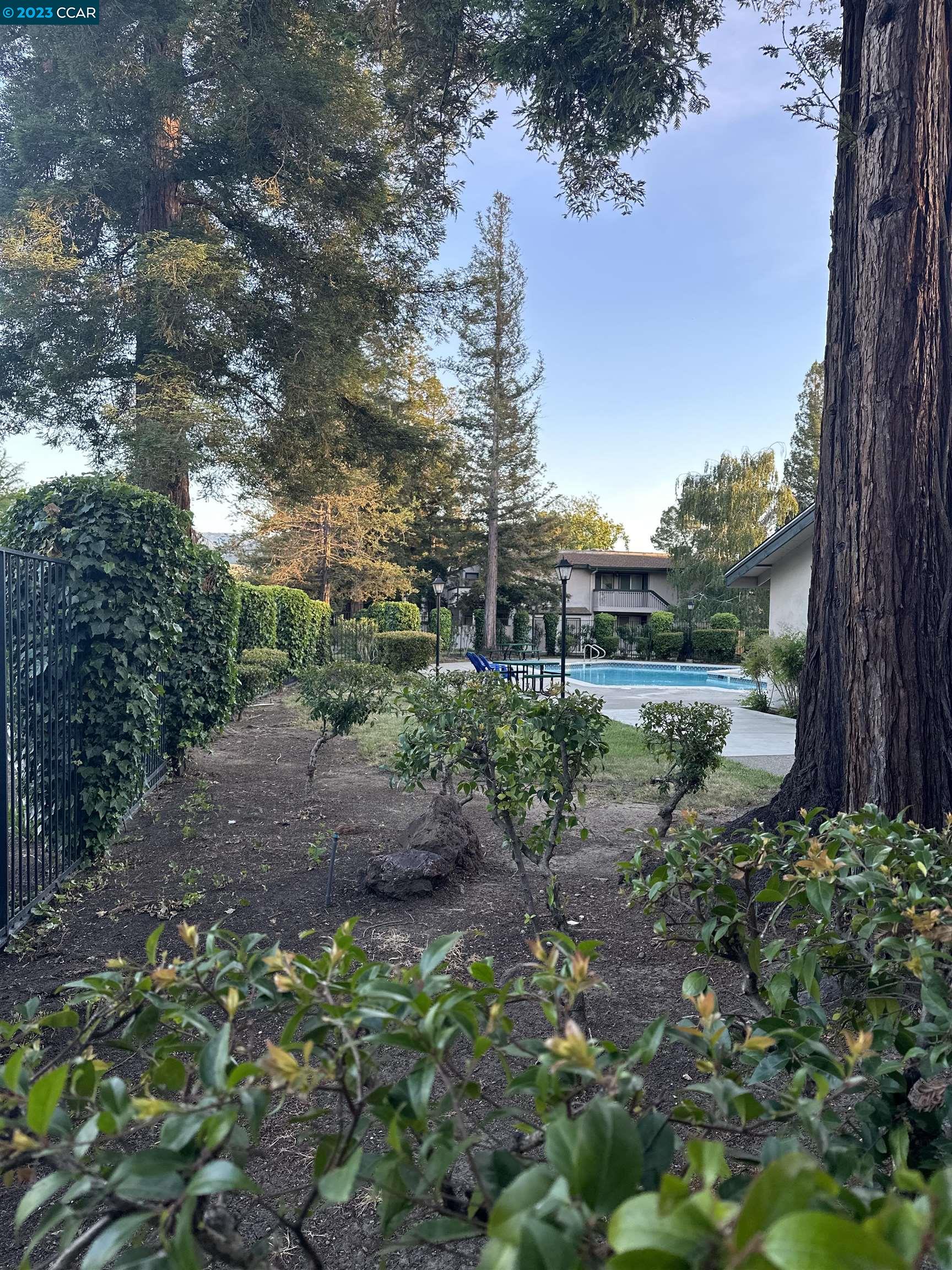 5460 Concord Boulevard Concord, CA 94521 - Photo 33 of 35 a view of a garden with a tree