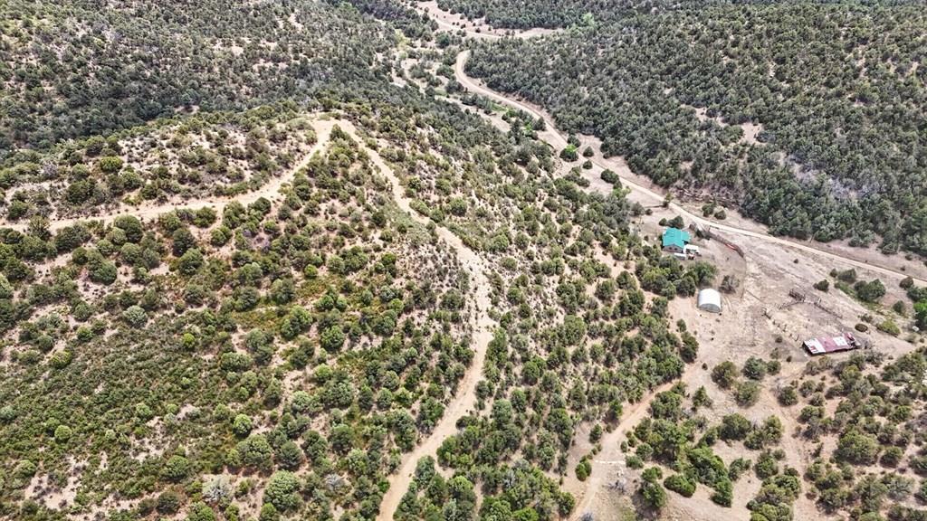 17001 Peacock Road Trinidad, CO 81082 - Photo 27 of 62