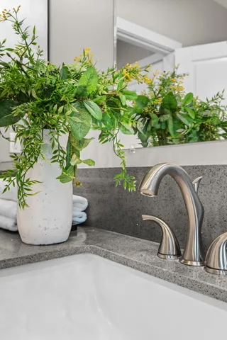 a close view of sink with a potted plant