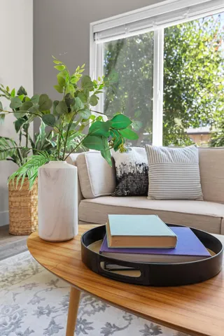 a living room with furniture and a potted plant