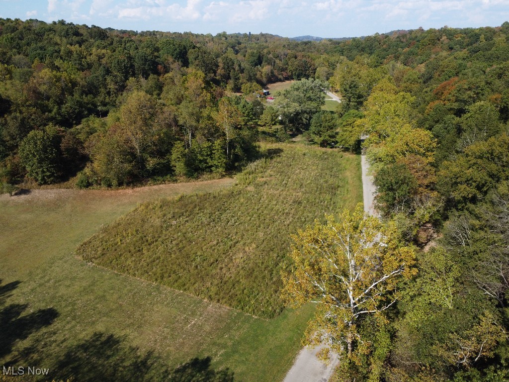 6494 Duncan Run Road Philo, OH 43771 - Photo 4 of 10 Aerial overview of property's location with a forest