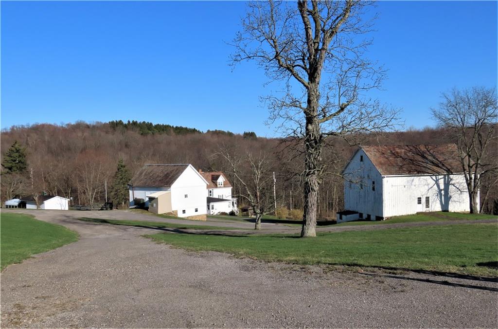 319 Harmony Road New Brighton, PA 15066 - Photo 8 of 25 Gallery Image 8