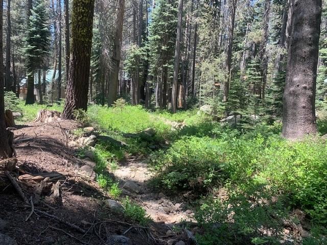 21164 Donner Pass Road Soda Springs, CA 95728 - Photo 4 of 19 Gallery Image 4