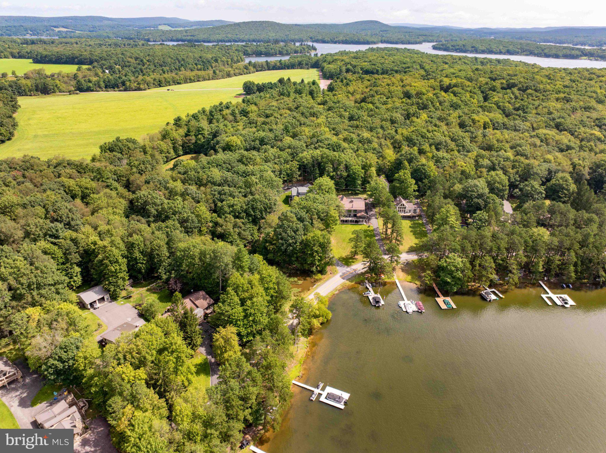 1001 Penn Point Road Oakland, MD 21550 - Photo 19 of 61 Lush lakeside retreat surrounded by nature.