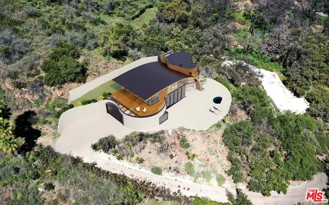 a view of a tree with a park