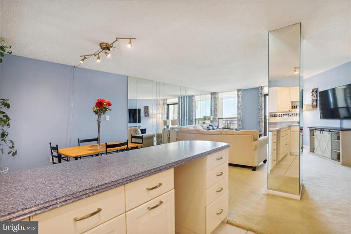 205 East Joppa Road, Unit 1601 Towson, MD 21286 - Photo 11 of 40