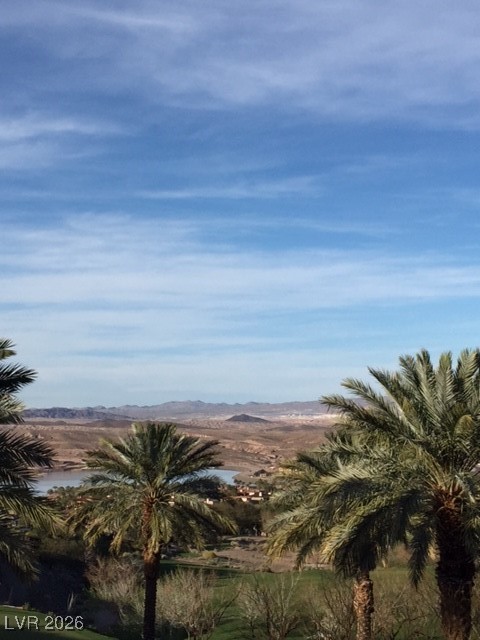 20 Strada Di Circolo, Unit 20 Henderson, NV 89011 - Photo 18 of 19