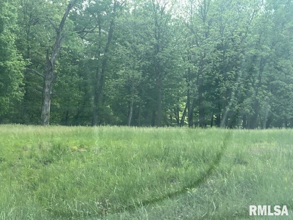 3551-lot 10) Ridgecrest Drive Mount Vernon, IL 62864 - Photo 8 of 15