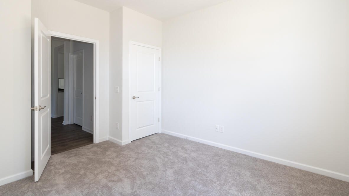 300 Cypress Branch Road Pineland, SC 29934 - Photo 11 of 45 Cali H E_D (8)