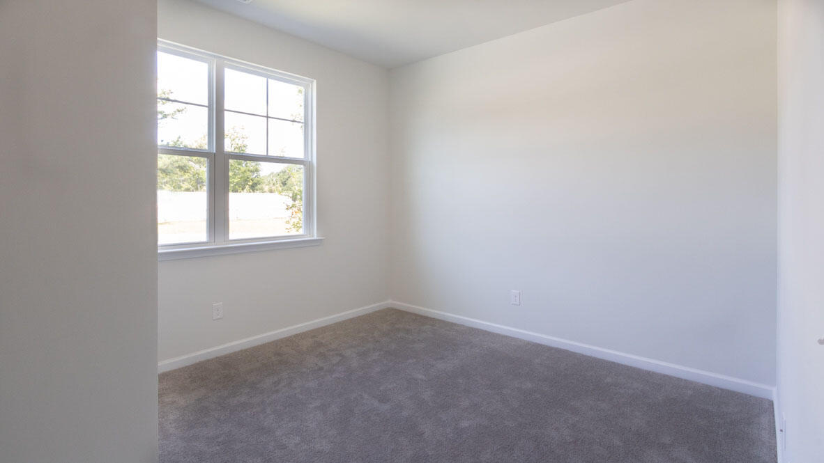 300 Cypress Branch Road Pineland, SC 29934 - Photo 5 of 45 Cali H E_D (2)
