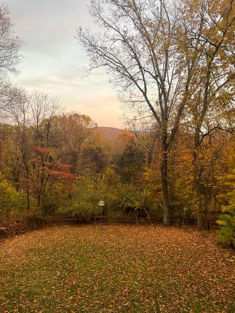 459 Windy Pines Road Front Royal, VA 22630 - Photo 20 of 24 Fall