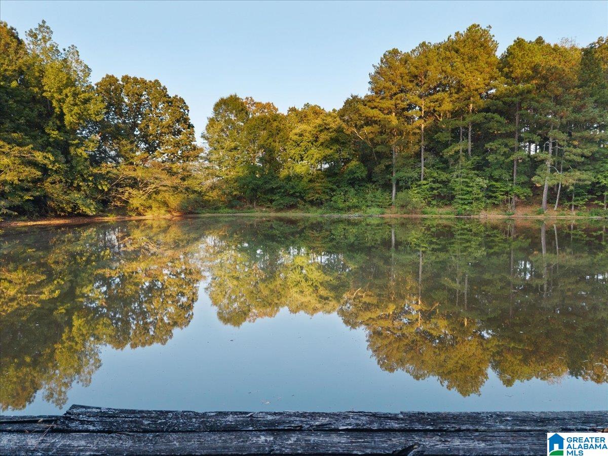 0 Shady Point Road, Unit 18 18 & 19 Locust Fork, AL 35097 - Photo 19 of 26