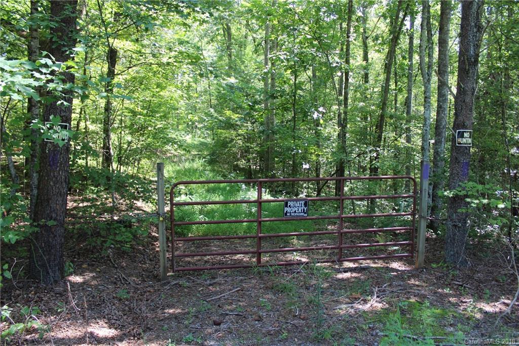 99999 King Stepp Road Mill Spring, NC 28756 - Photo 1 of 29 a view of a park