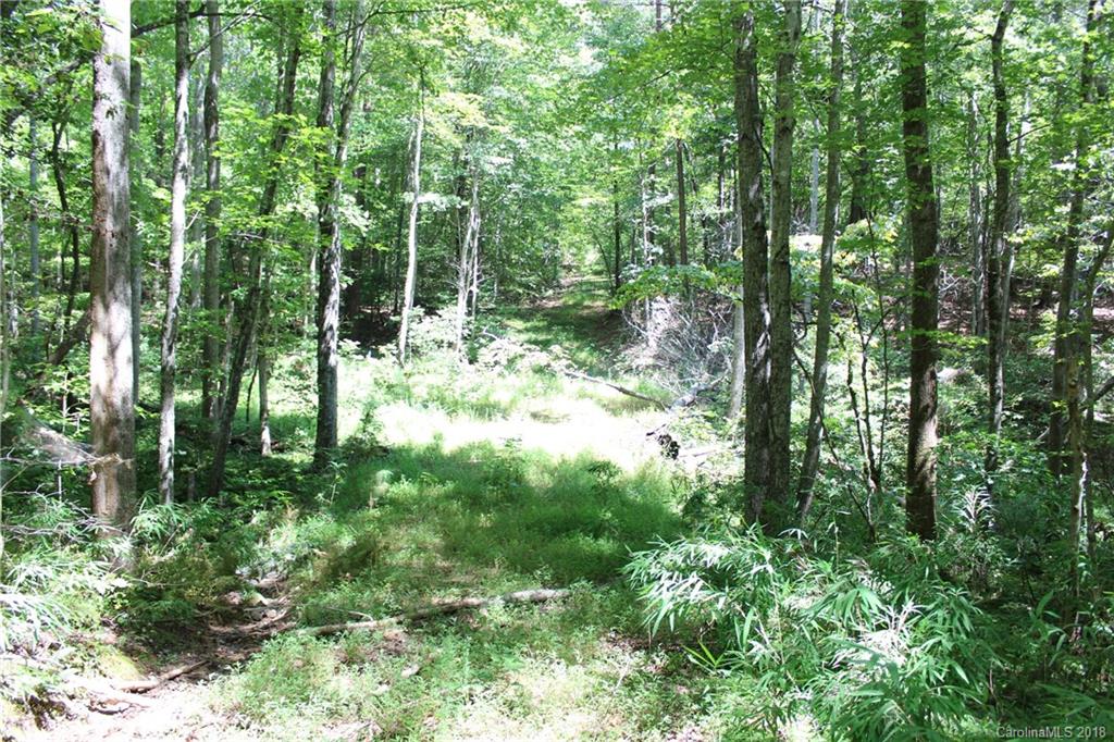 99999 King Stepp Road Mill Spring, NC 28756 - Photo 2 of 29 a view of forest