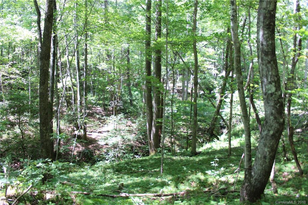 99999 King Stepp Road Mill Spring, NC 28756 - Photo 12 of 29