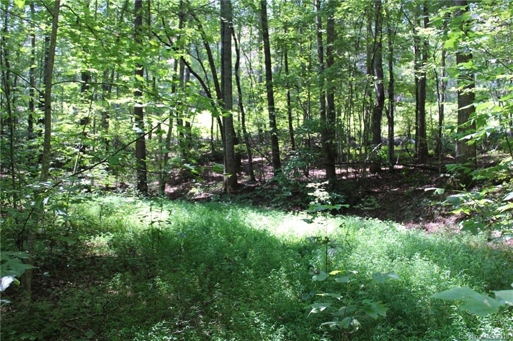 99999 King Stepp Road Mill Spring, NC 28756 - Photo 3 of 29 a view of outdoor space and yard