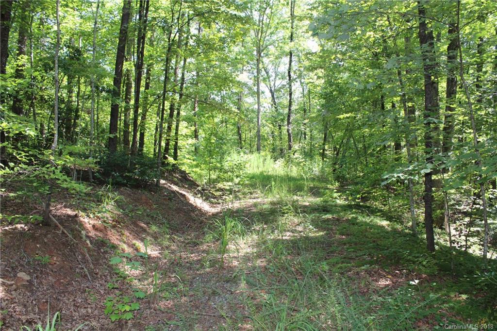 99999 King Stepp Road Mill Spring, NC 28756 - Photo 6 of 29 a view of forest