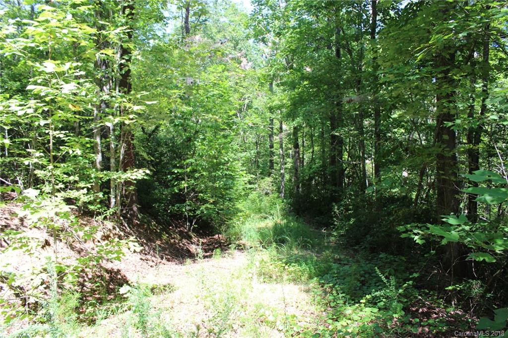 99999 King Stepp Road Mill Spring, NC 28756 - Photo 8 of 29 a view of a yard with plants and tree