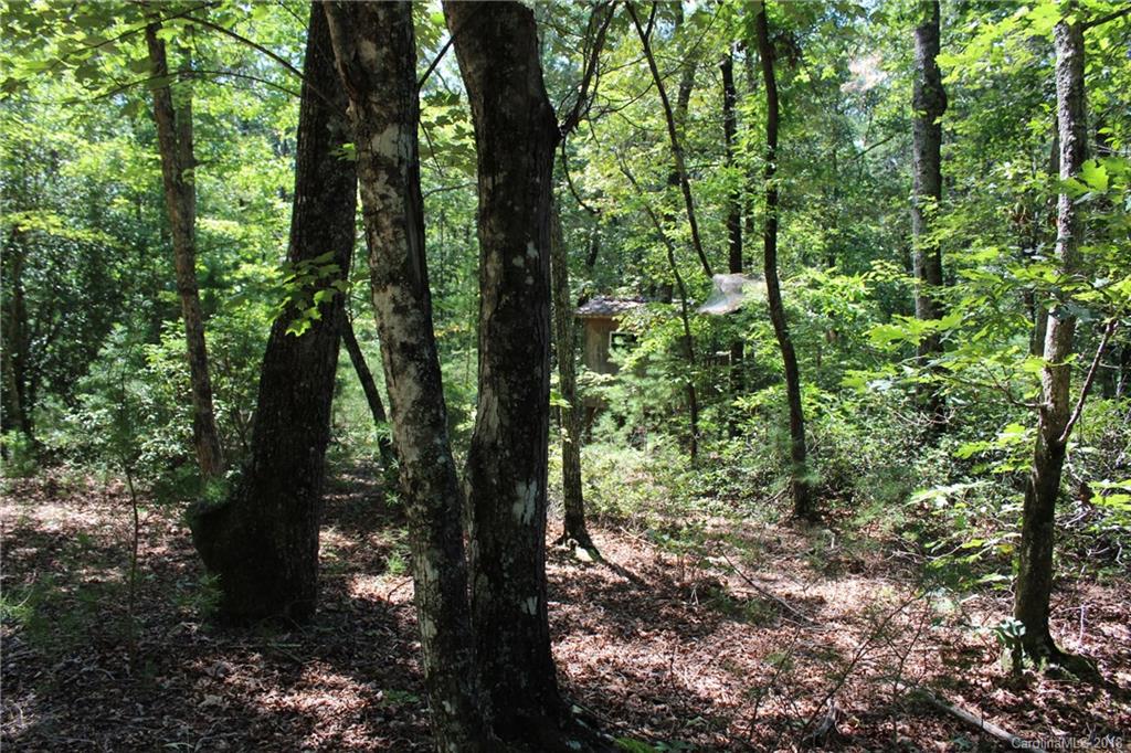 99999 King Stepp Road Mill Spring, NC 28756 - Photo 10 of 29
