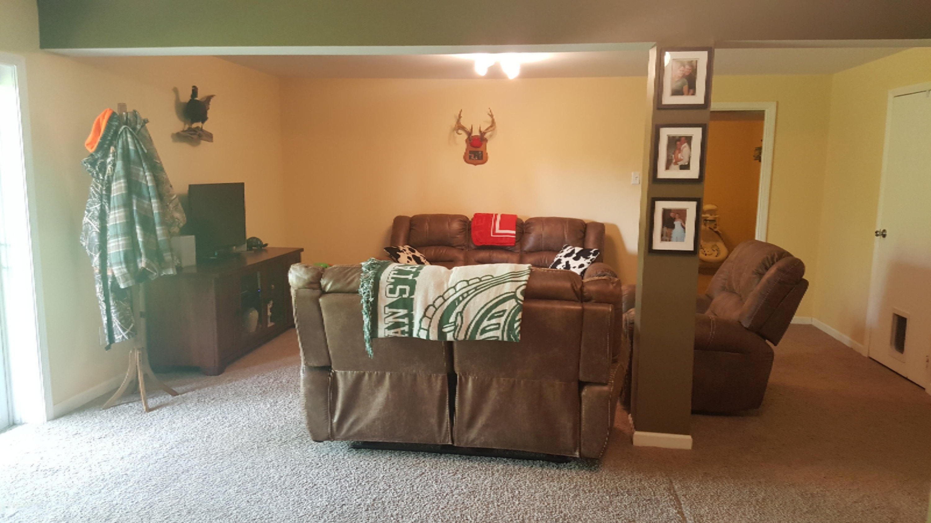51411 Creglow Road Marcellus, MI 49067 - Photo 9 of 21 Lower level family room