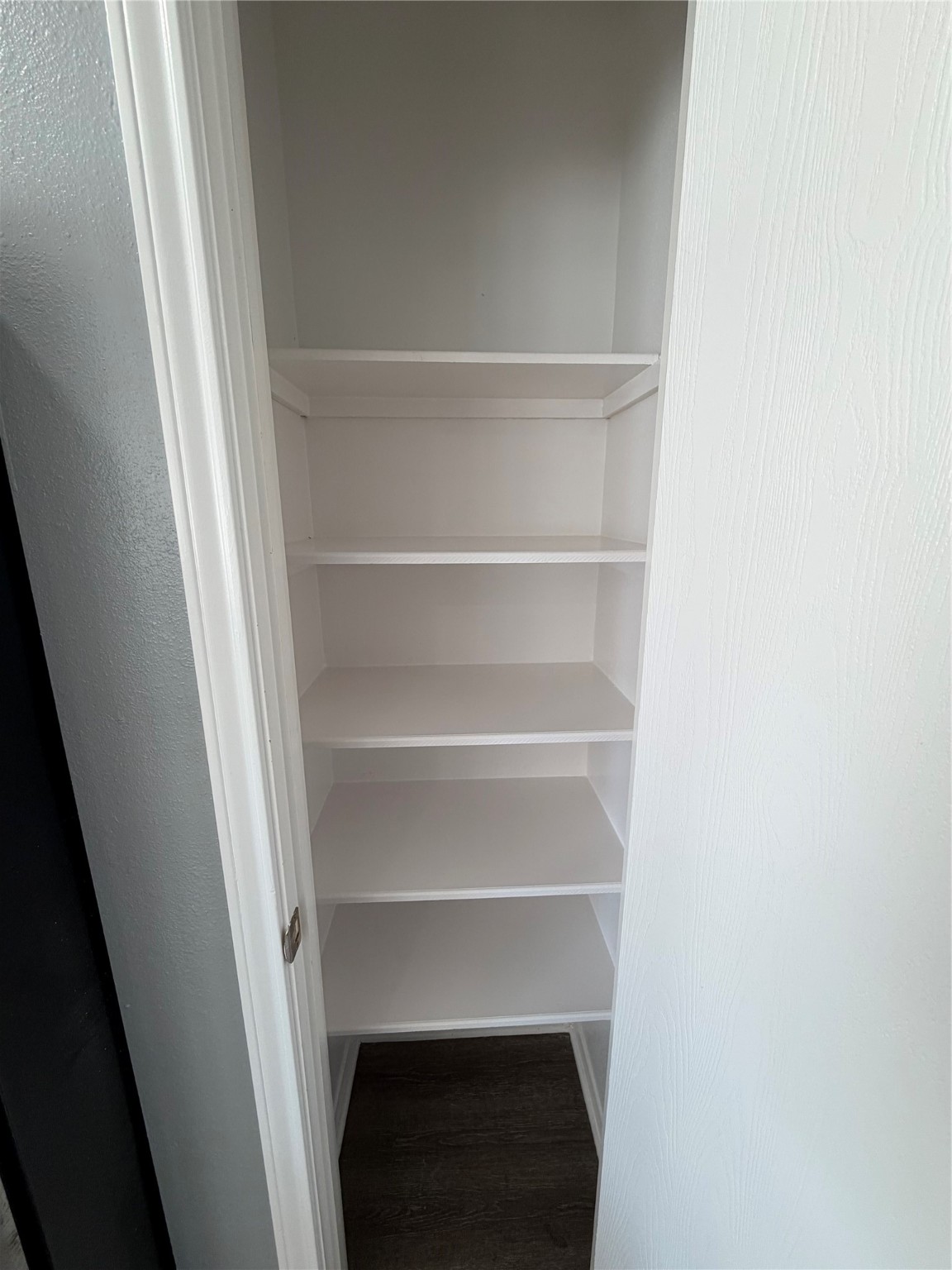 4623 Mi Castillo Court Houston, TX 77045 - Photo 9 of 25 a view of walk in closet with empty racks