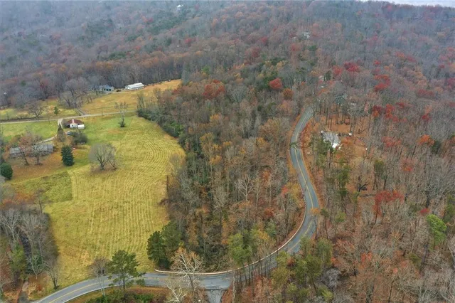 a view of a yard with trees