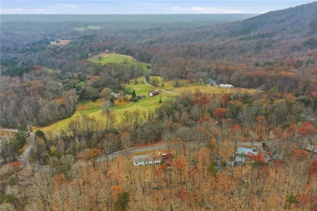 a view of a yard with plants