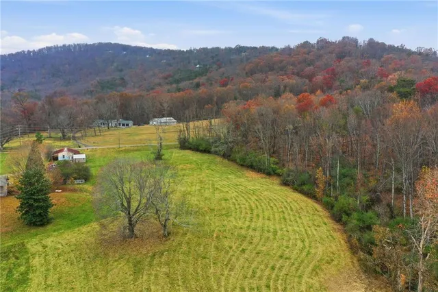 a view of a yard with trees in the background