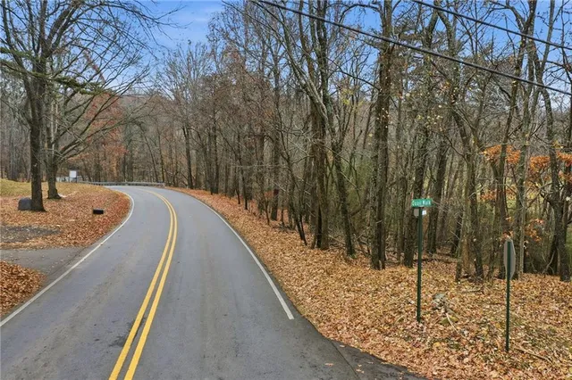 a view of a yard with potted plants